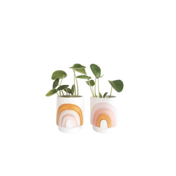 Rainbow Pots