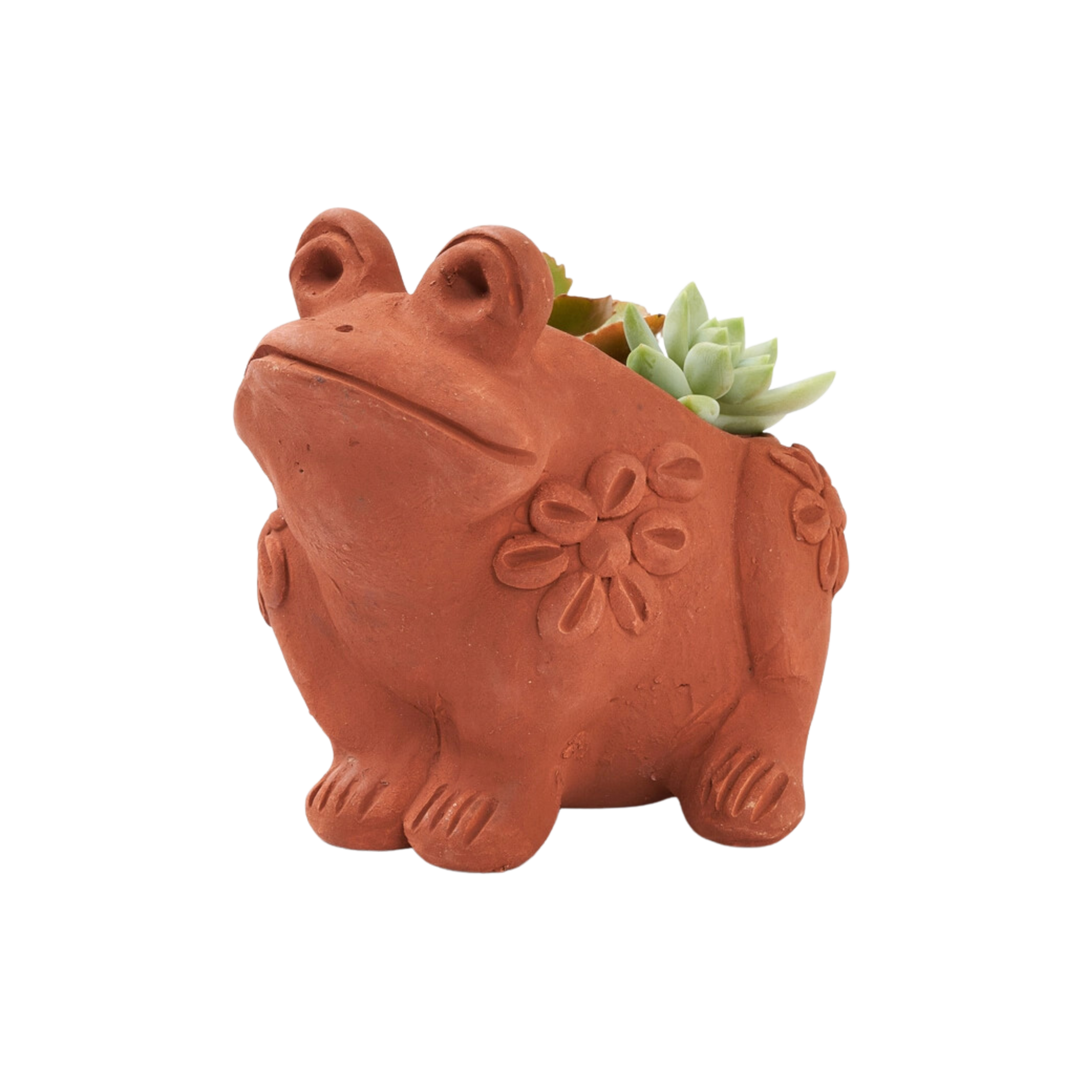 Rakshana Terracotta Frog Plant Pot