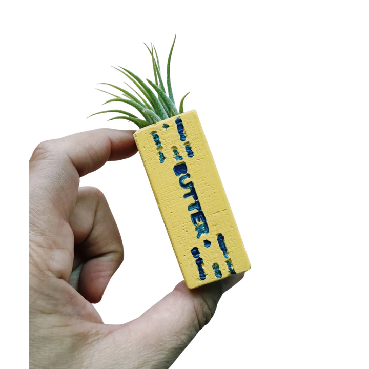 Mini Plant Pot with Air Plant