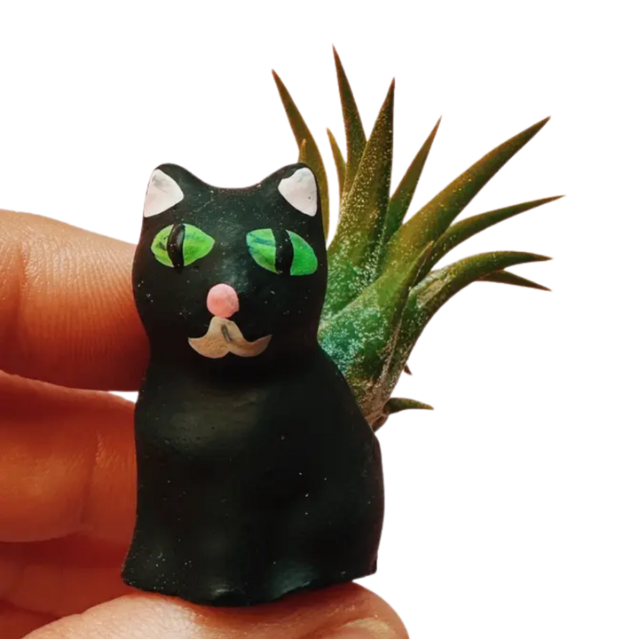 Mini Plant Pot with Air Plant