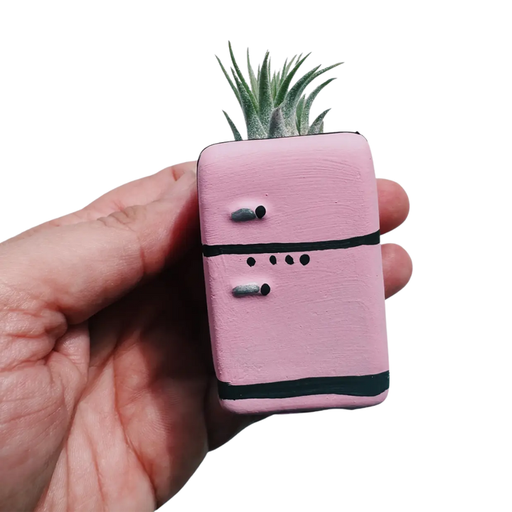 Mini Plant Pot with Air Plant