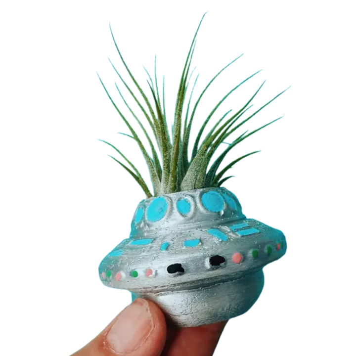 Mini Plant Pot with Air Plant