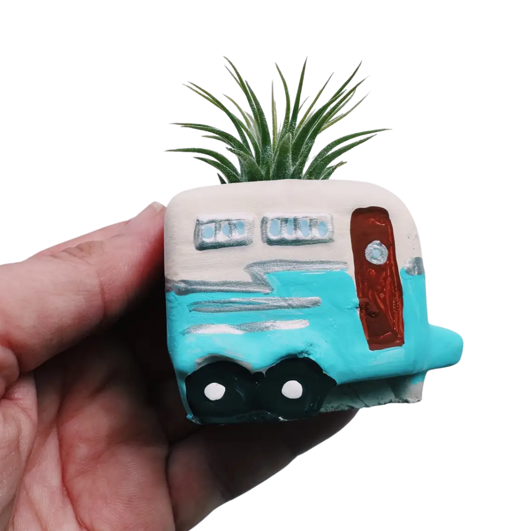 Mini Plant Pot with Air Plant