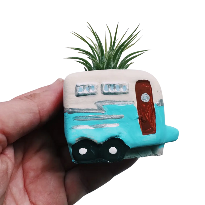Mini Plant Pot with Air Plant