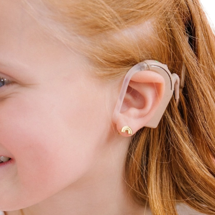 Classic Rainbow Earrings