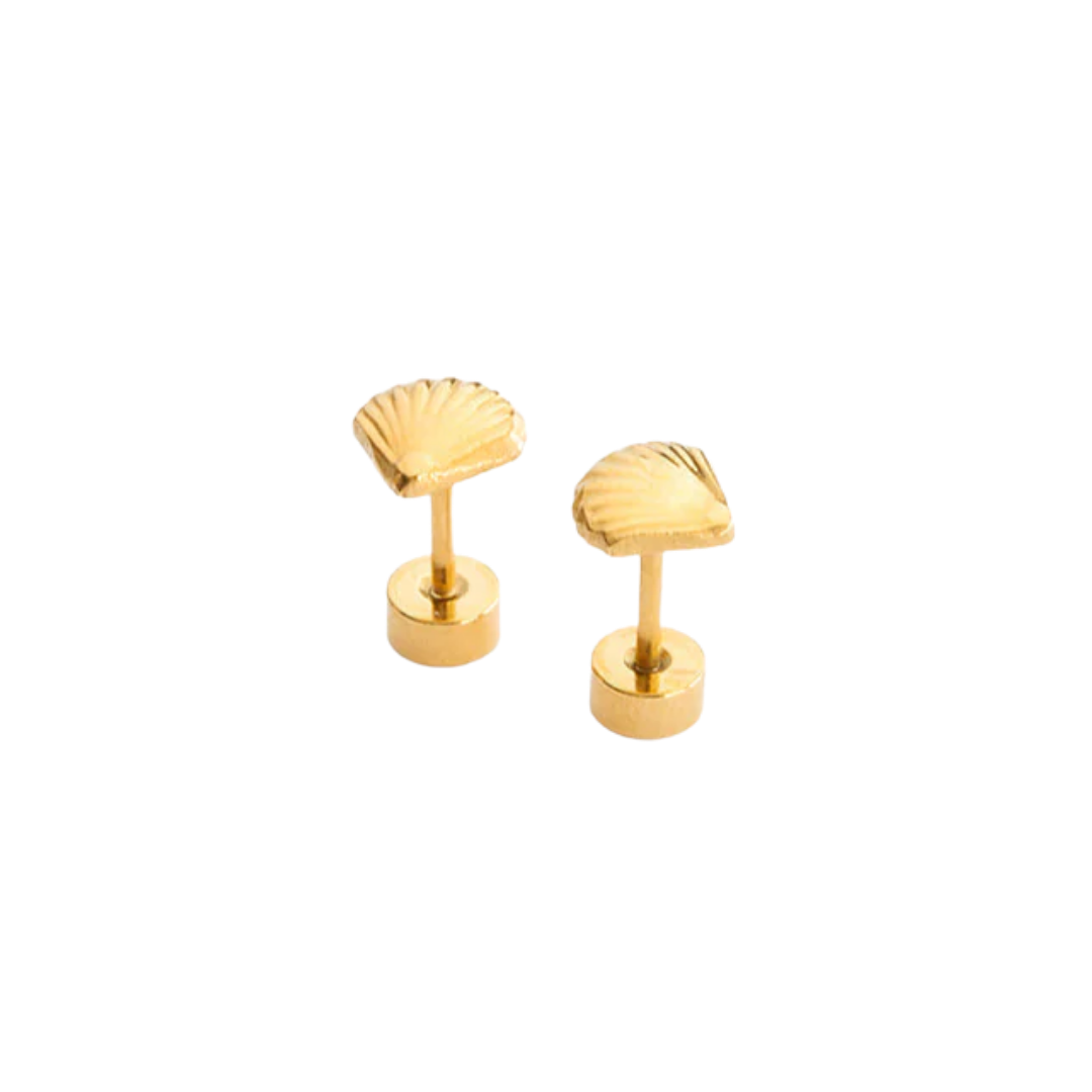 Seashell Stud Earrings