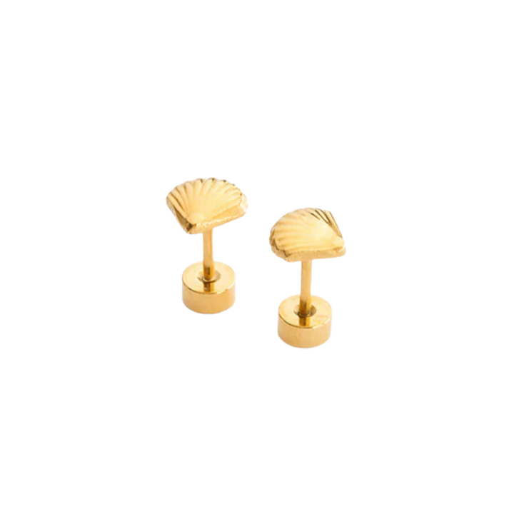 Seashell Stud Earrings