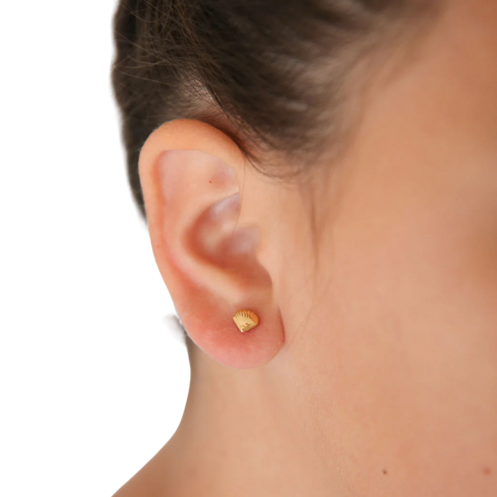Seashell Stud Earrings