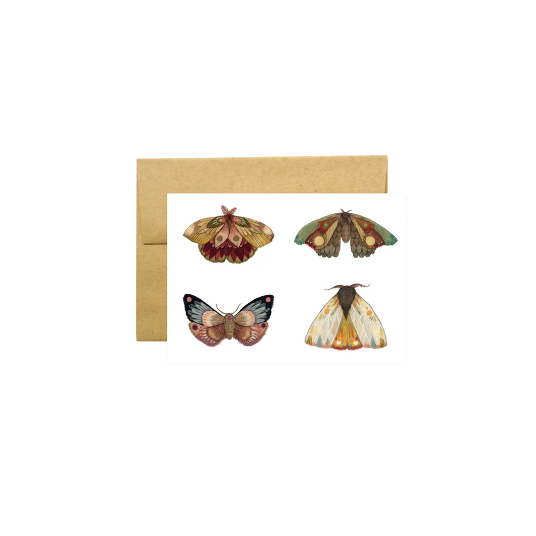 Collector: Moths III Greeting Card