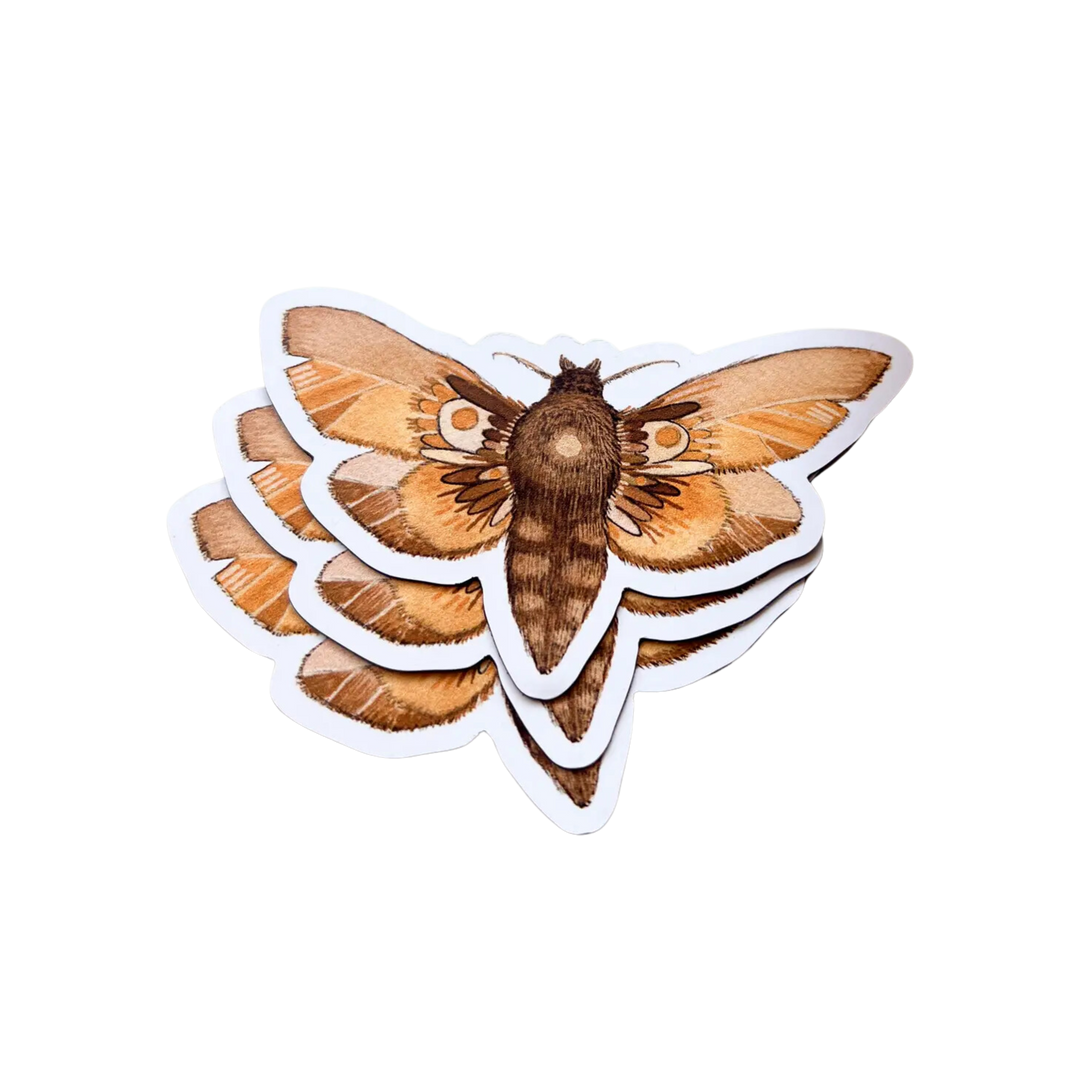 Woodland Magnet - Moth 6