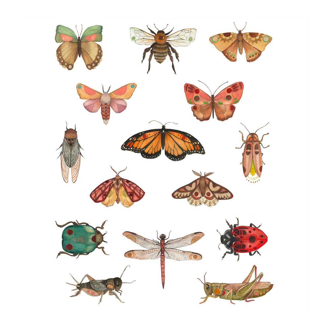 Bug Collection - Art Print