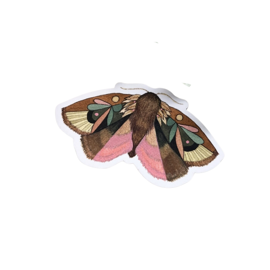 Woodland Magnet - Moth 4