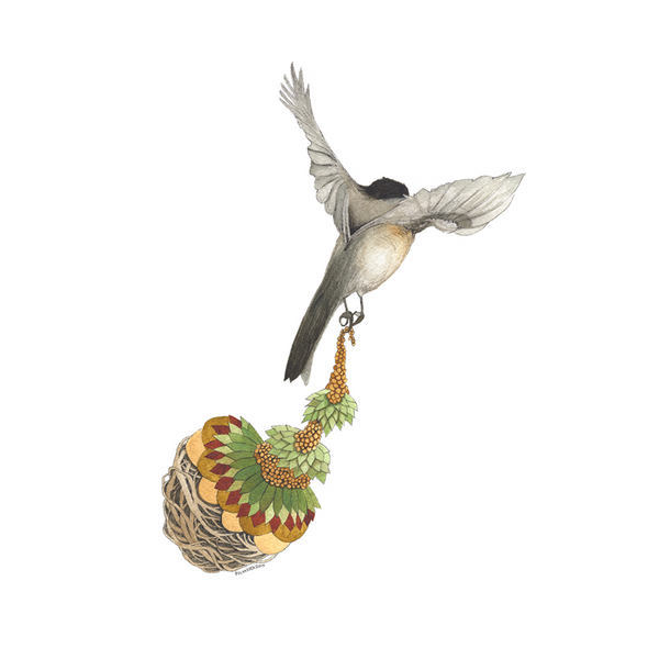 Quilted Bundles: Bird III - Art Print
