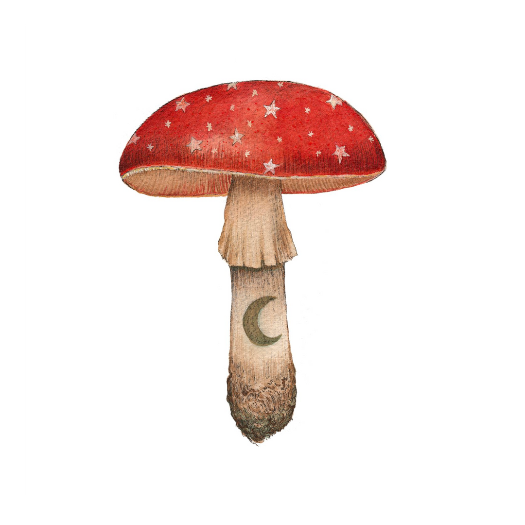 Mineral Mushroom: Ruby - Art Print