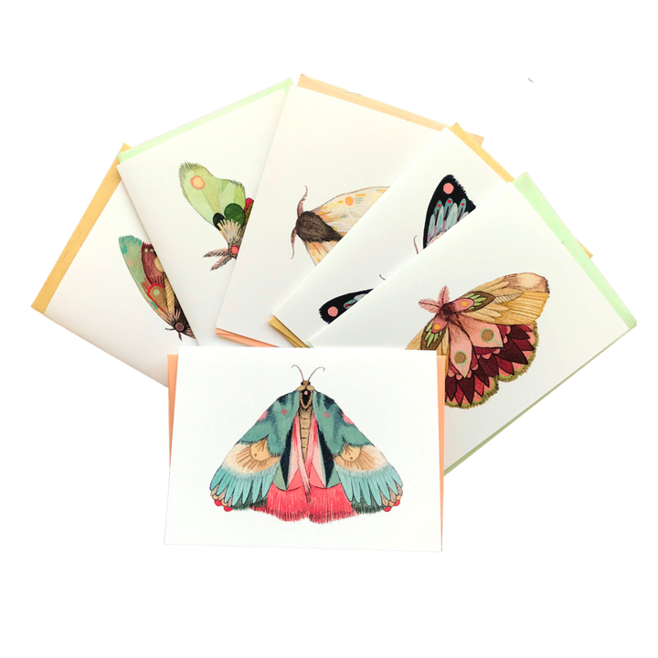 Collector: Moths Set 2 - Greeting Card Pack