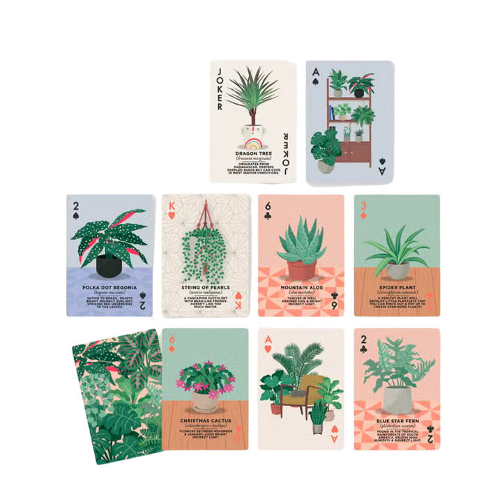 House Plants Playing Cards