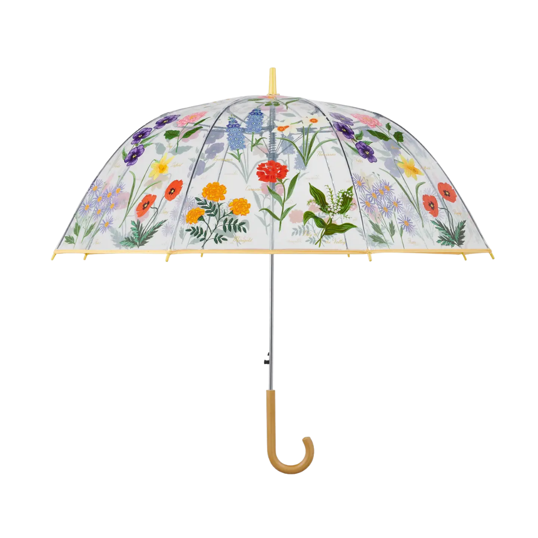 Garden Study Clear Umbrella