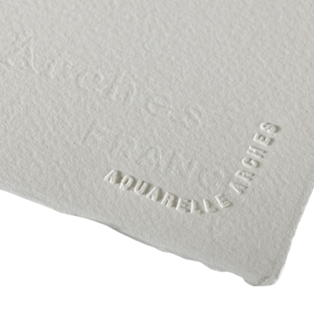 Professional Watercolor Paper Sheets 22x30"