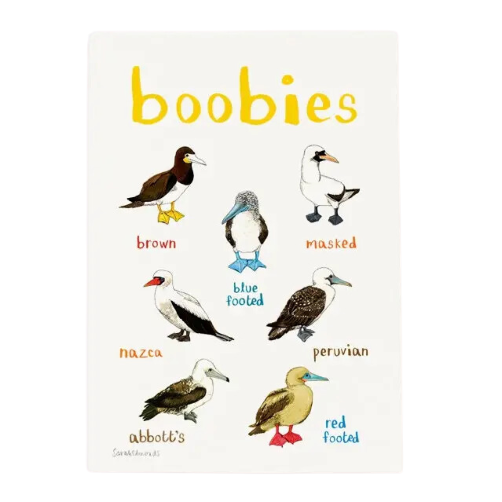 Boobies Art Print