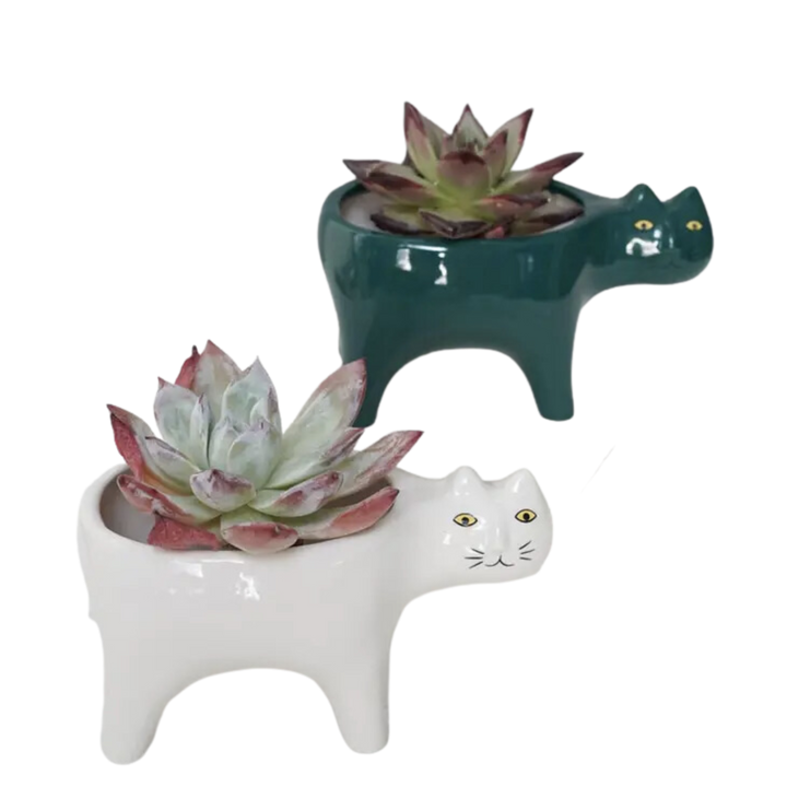 Walking Cat Pot
