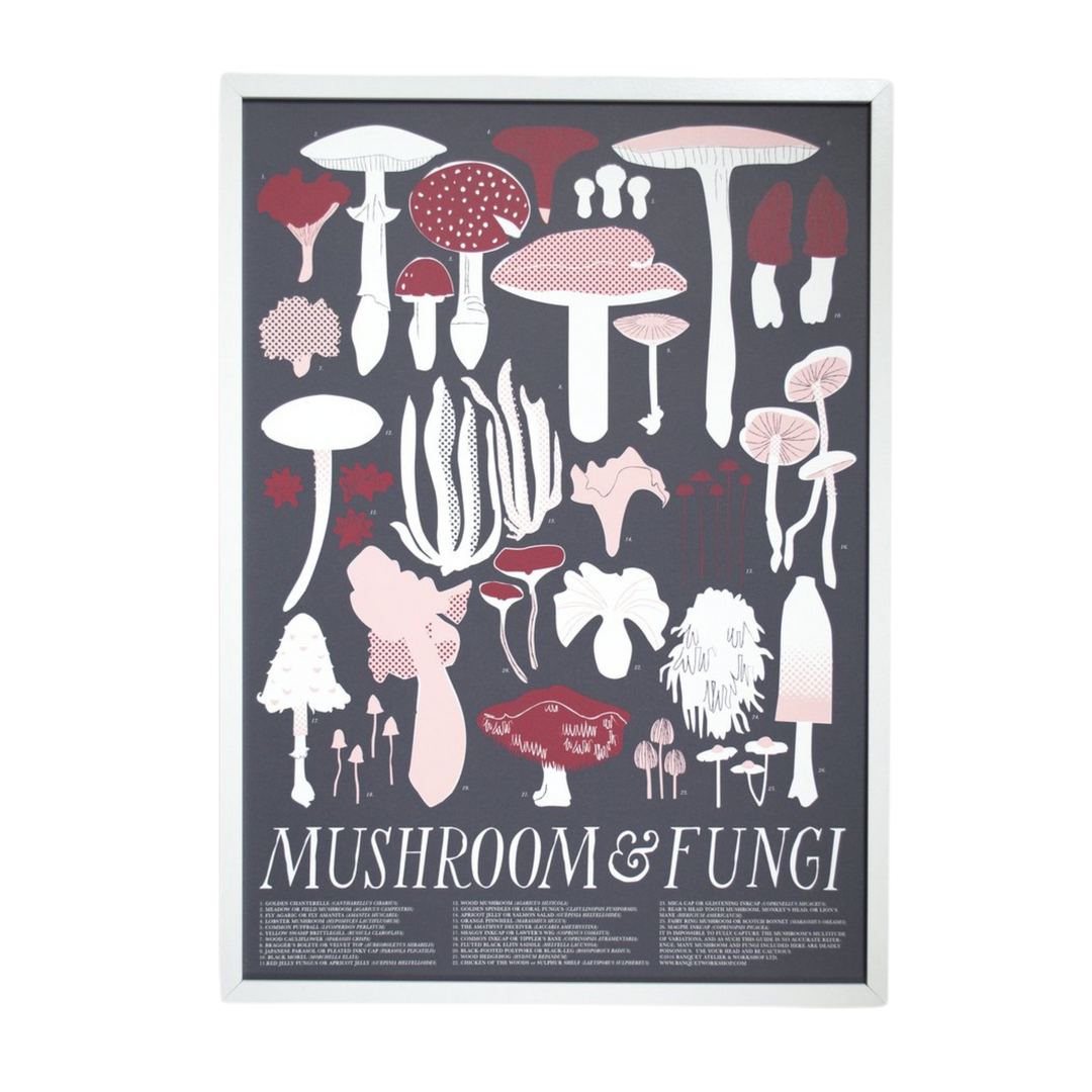 Mushrooms and Fungi Art Print
