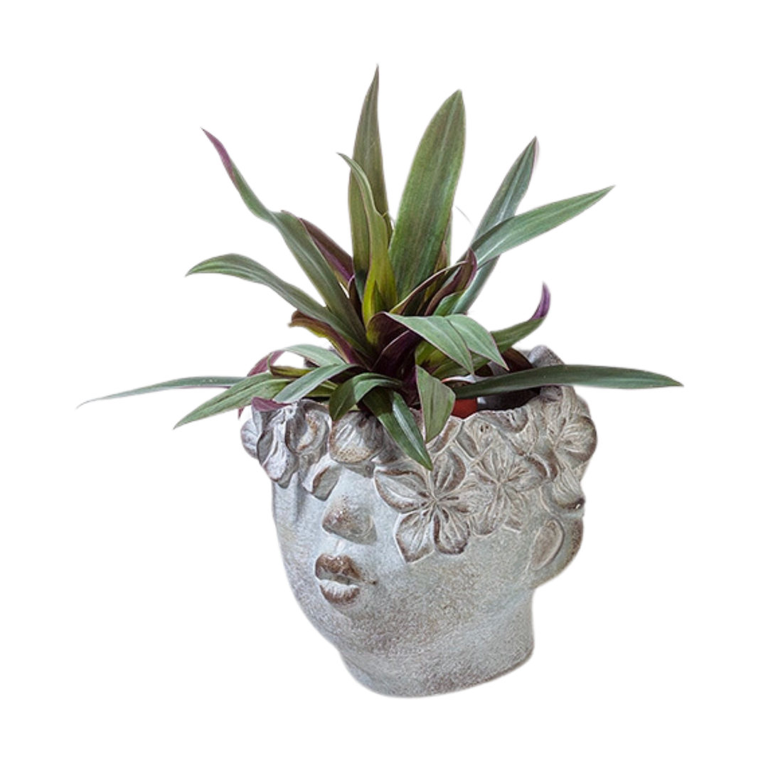 Large Kissing Face Wall Planter -6.5H