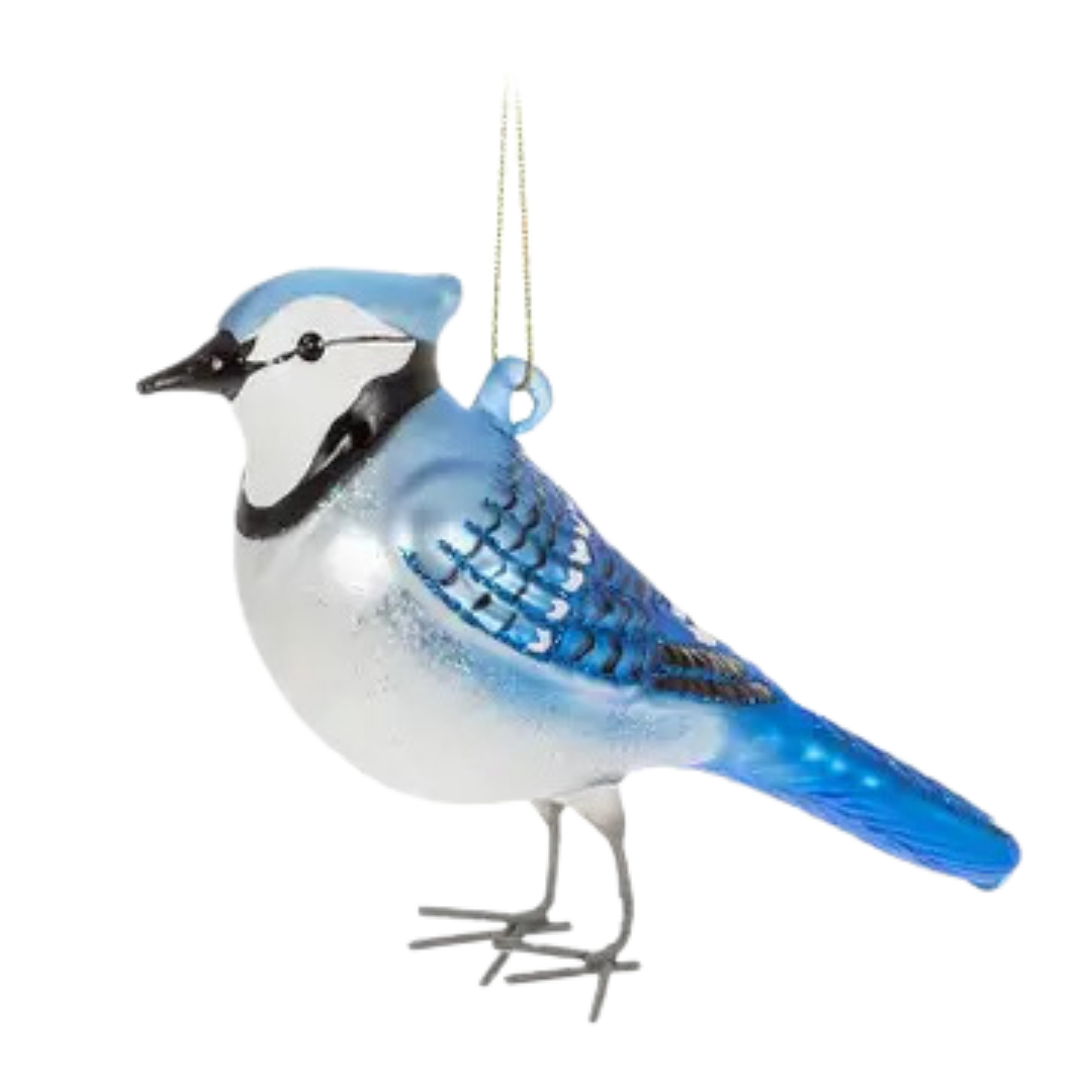 Blue Jay Ornament