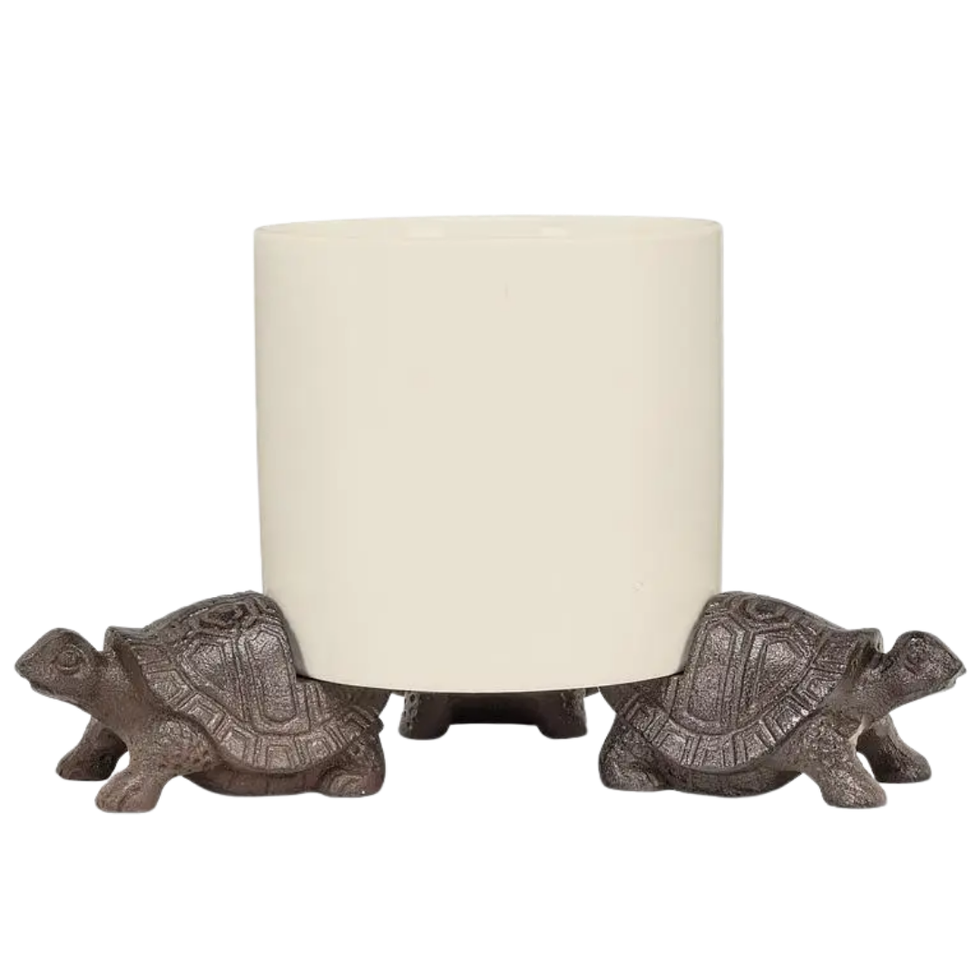 Set of 3 Turtle Planter Stand