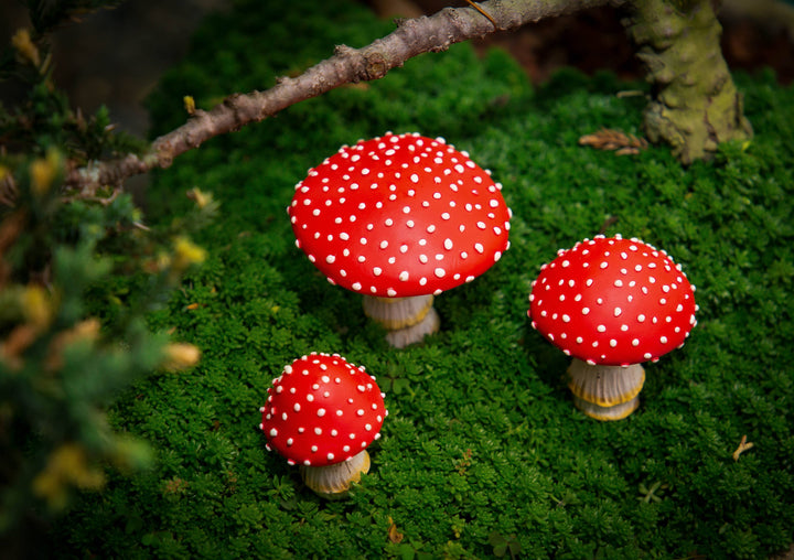 Mushrooms for Garden - Set of 3-  Glow in the Dark