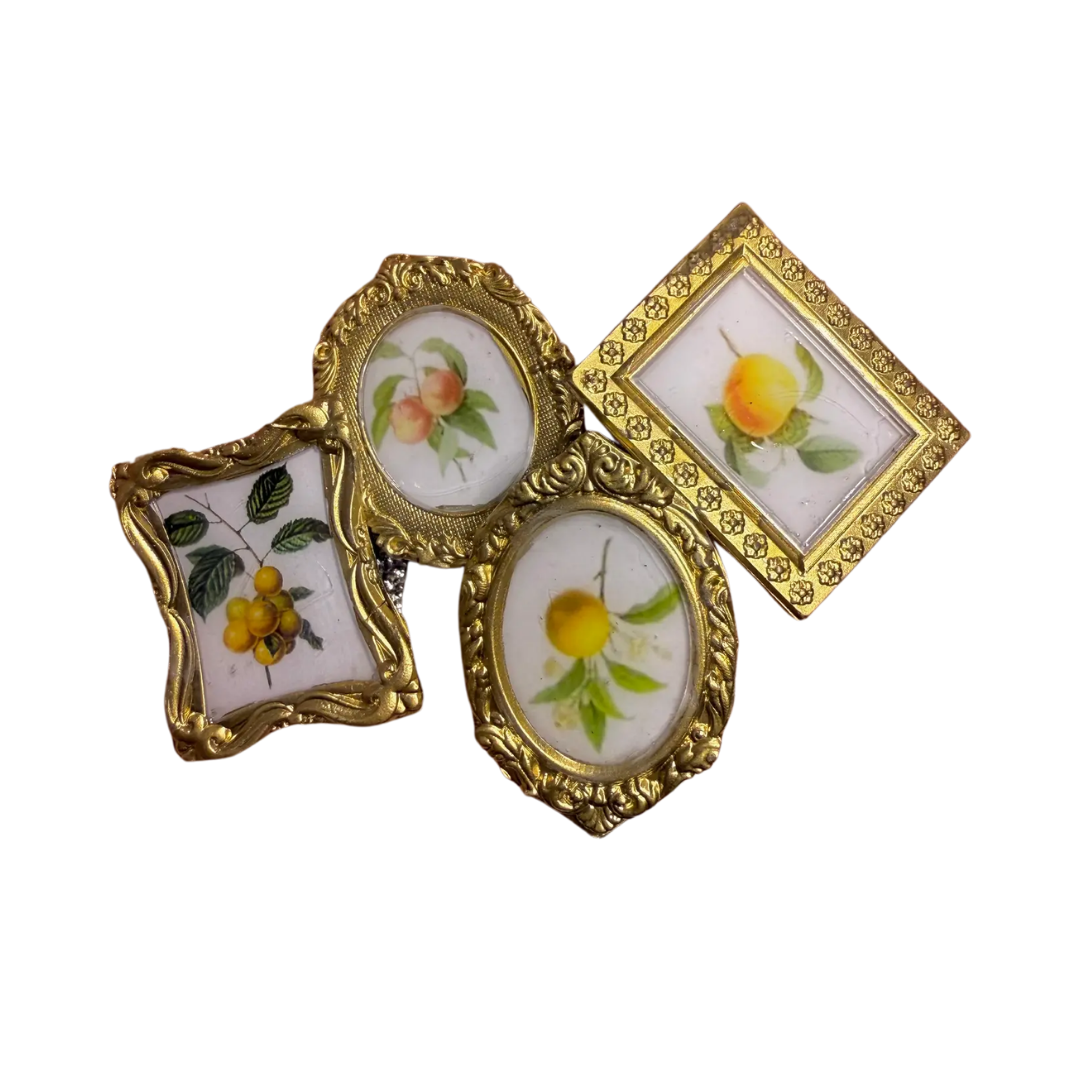 Mini Framed Fruit Botanical Magnets (4ct)