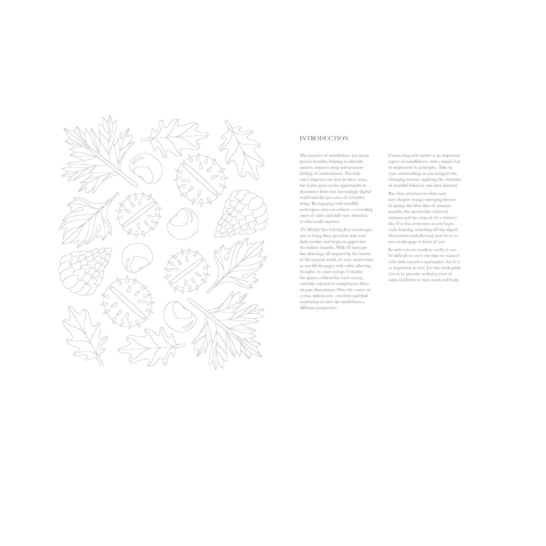 The Mindful Year Coloring Book