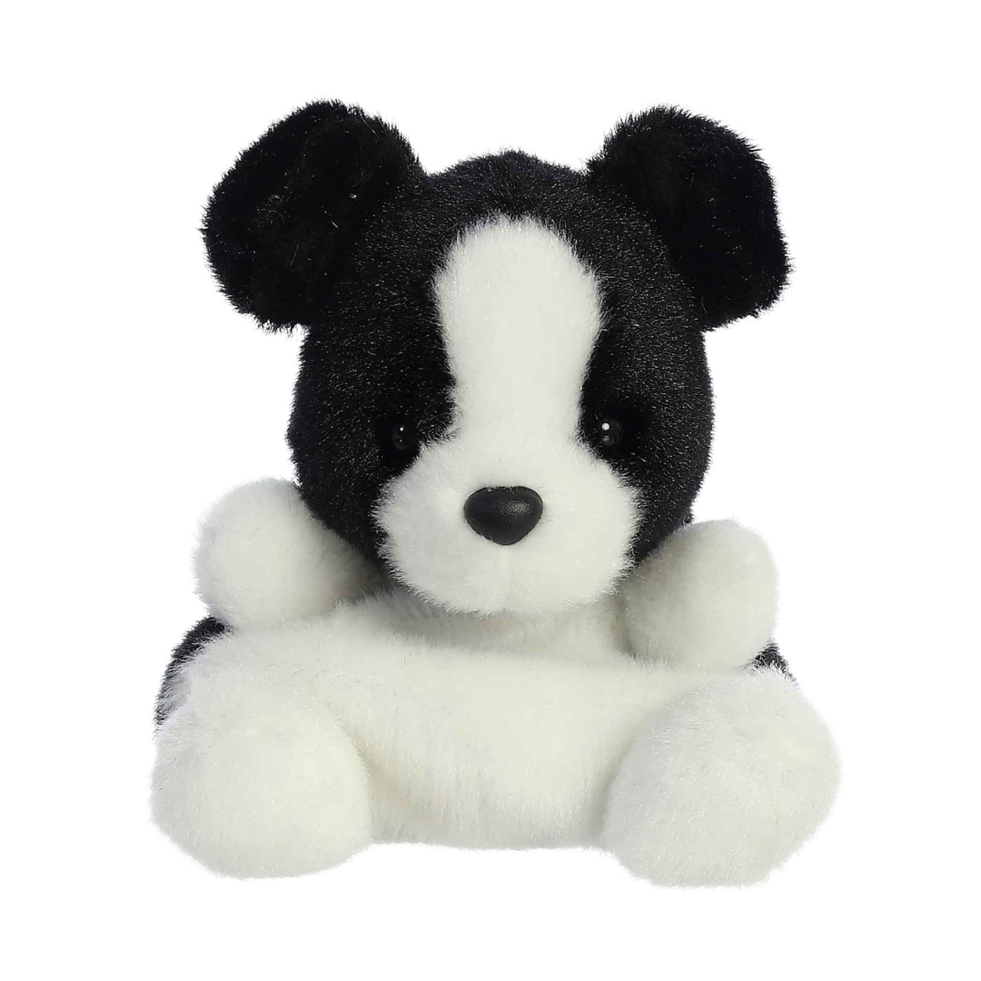 Brody Collie