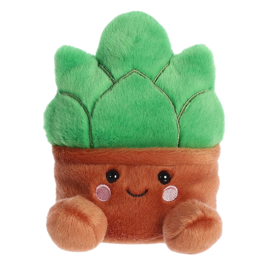 succulent hair co Palm Pals Gigi Succulent – Golden Hour Gift Co