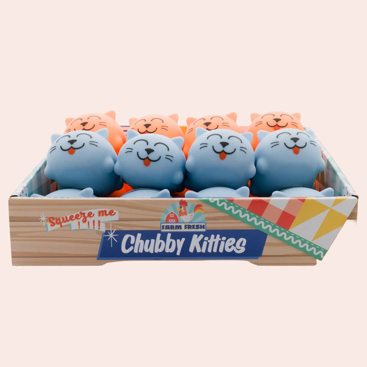 Box of Chubby Kitties toys with blue and orange cats on a white background