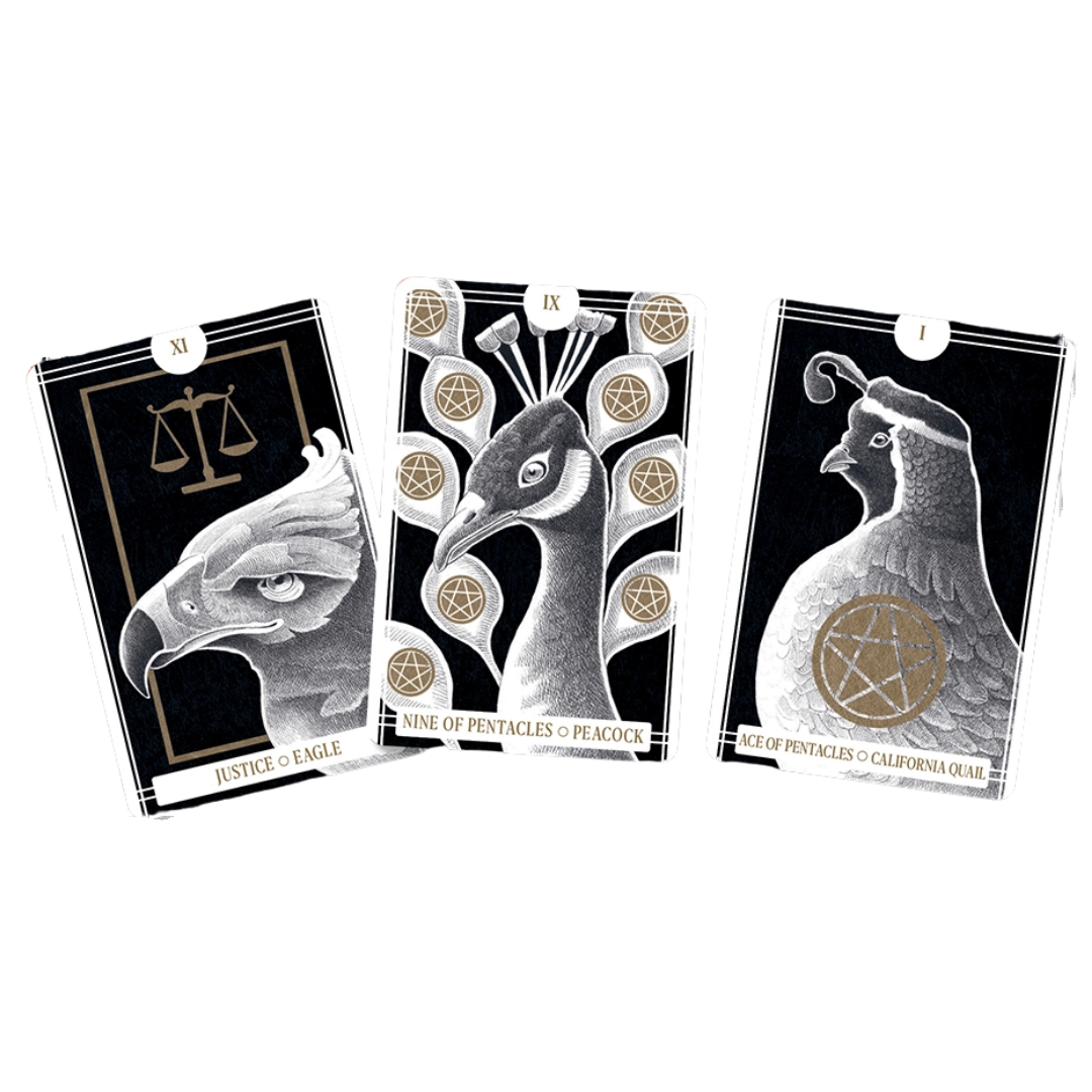Avian Tarot