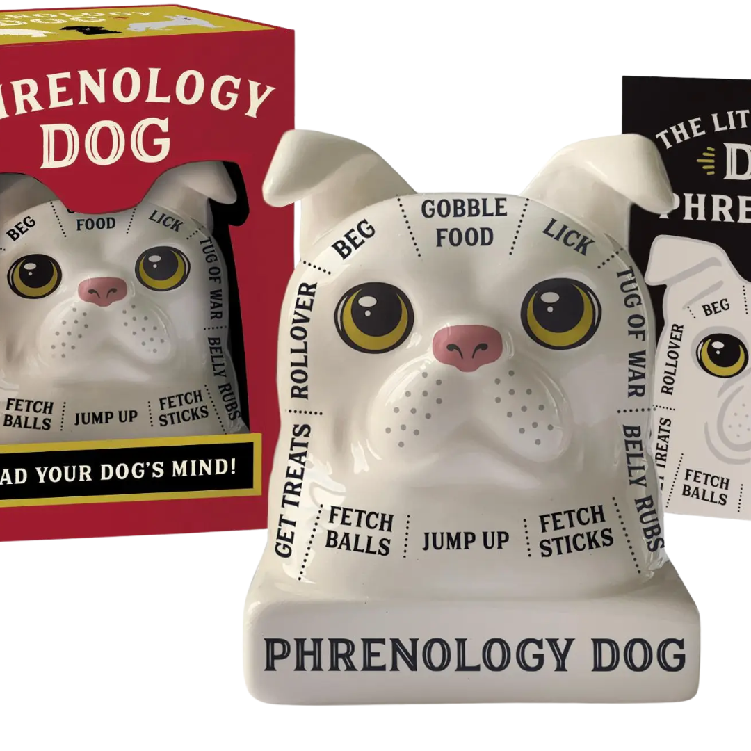 Phrenology Dog: Read Your Dog's Mind!