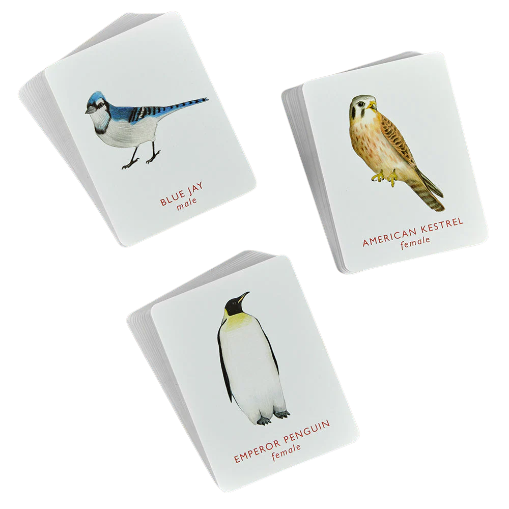 Match A Pair of Birds Memory Game