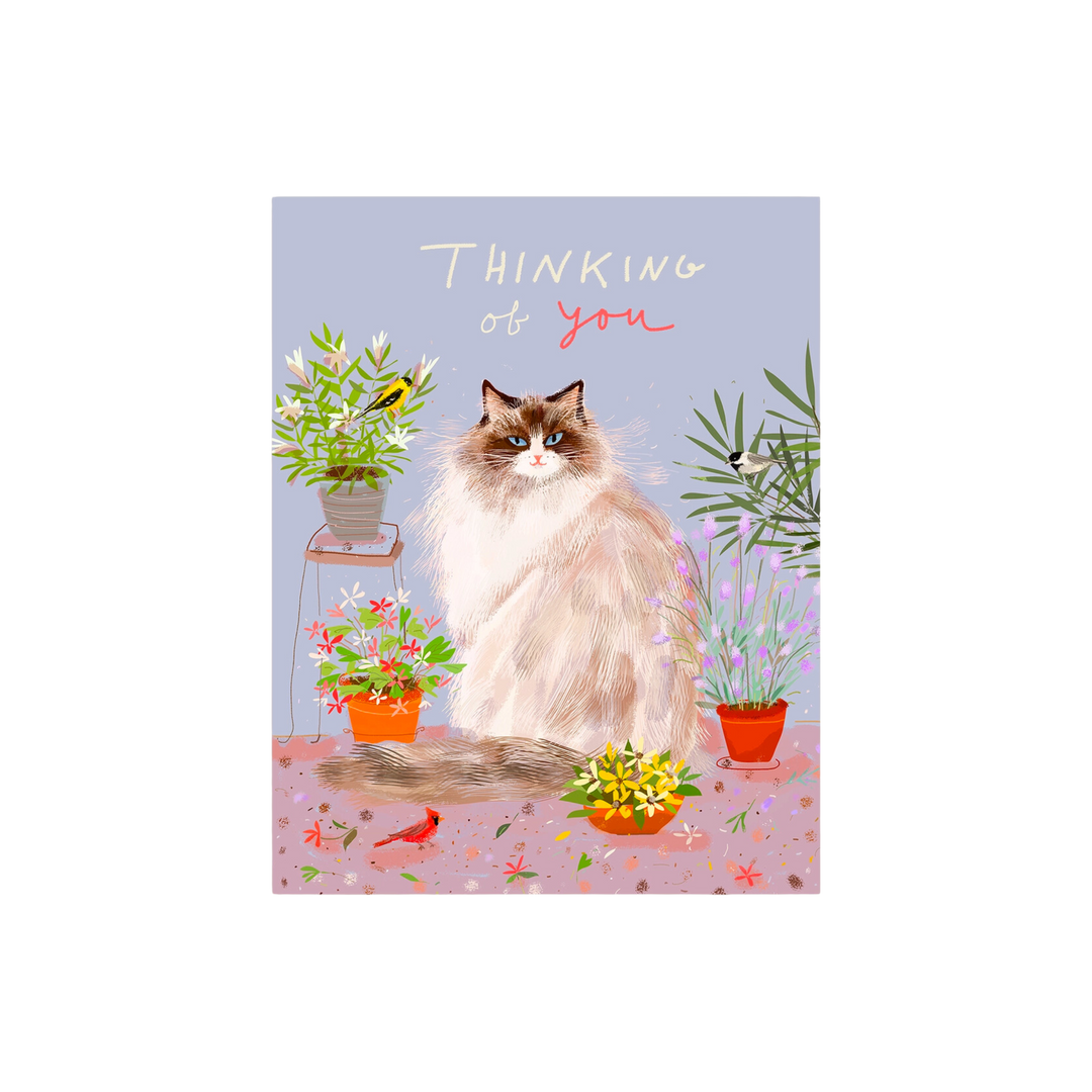 Thinking of You Spring Cat Card