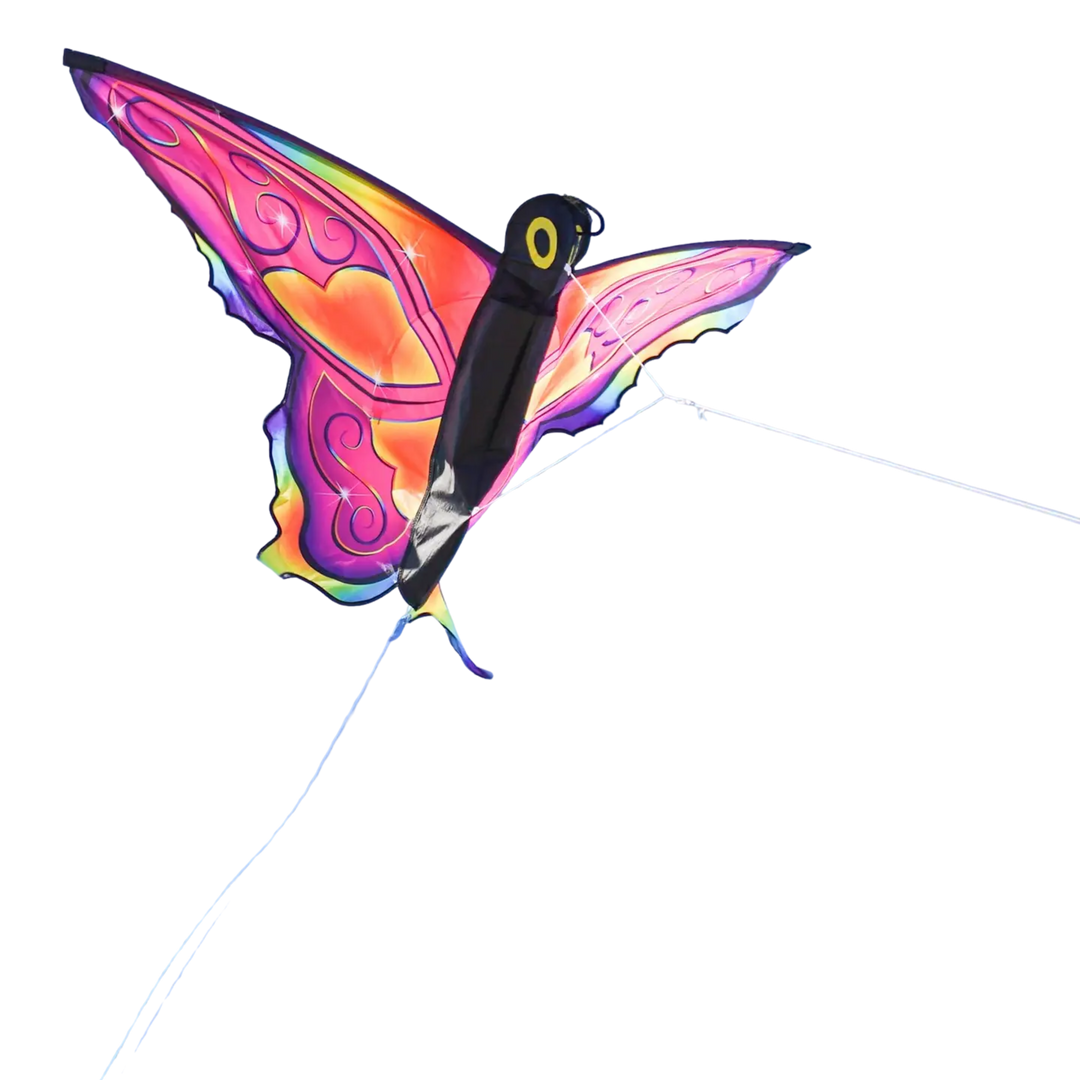 Fancy Butterfly Kite