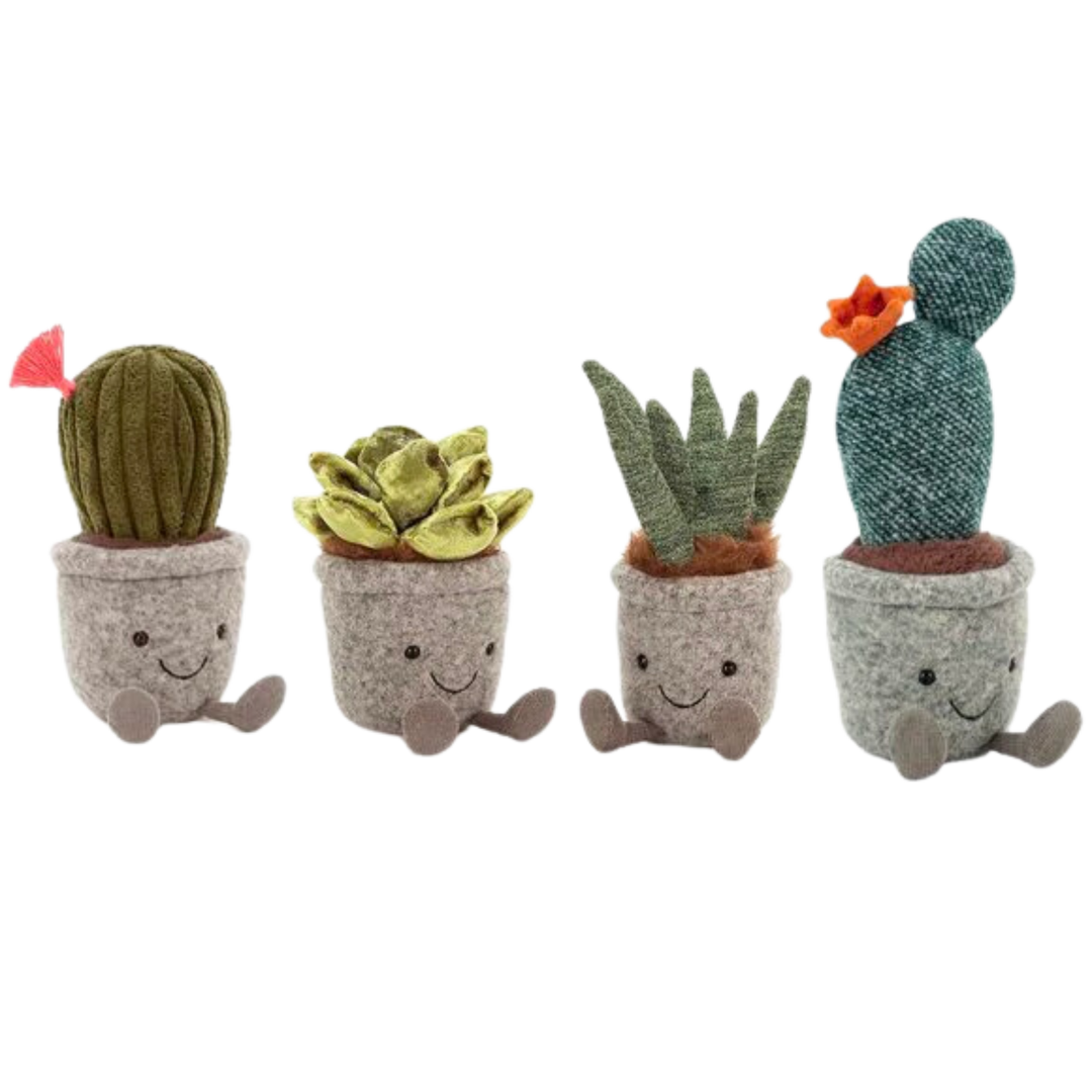 Silly Succulent