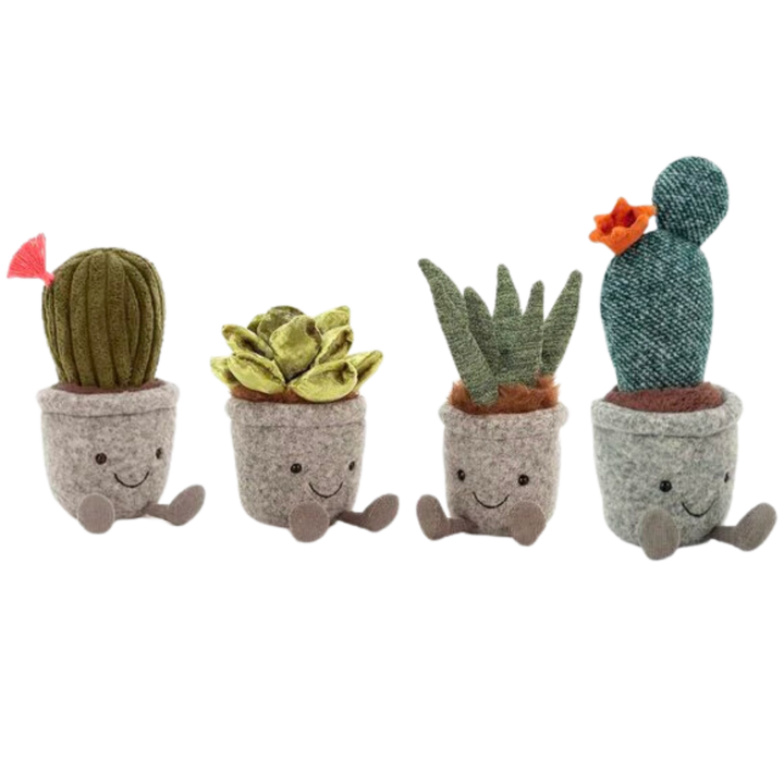 Silly Succulent