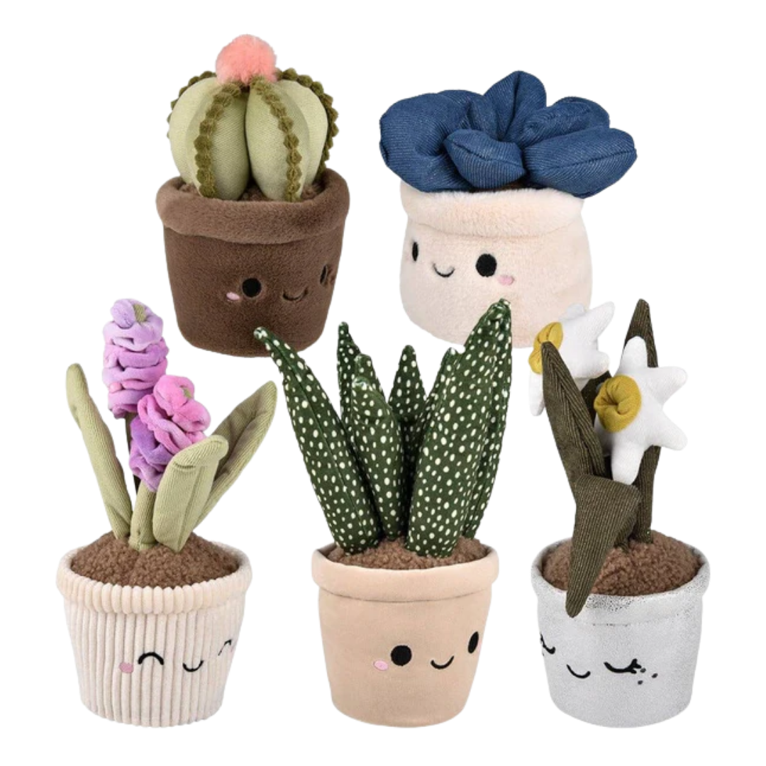 jellycat succulent Plush Succulent – Golden Hour Gift Co
