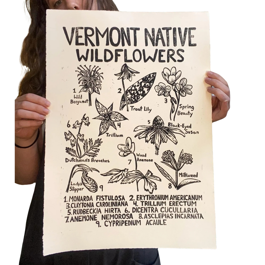 Vermont Native Wildflowers Linocut Print