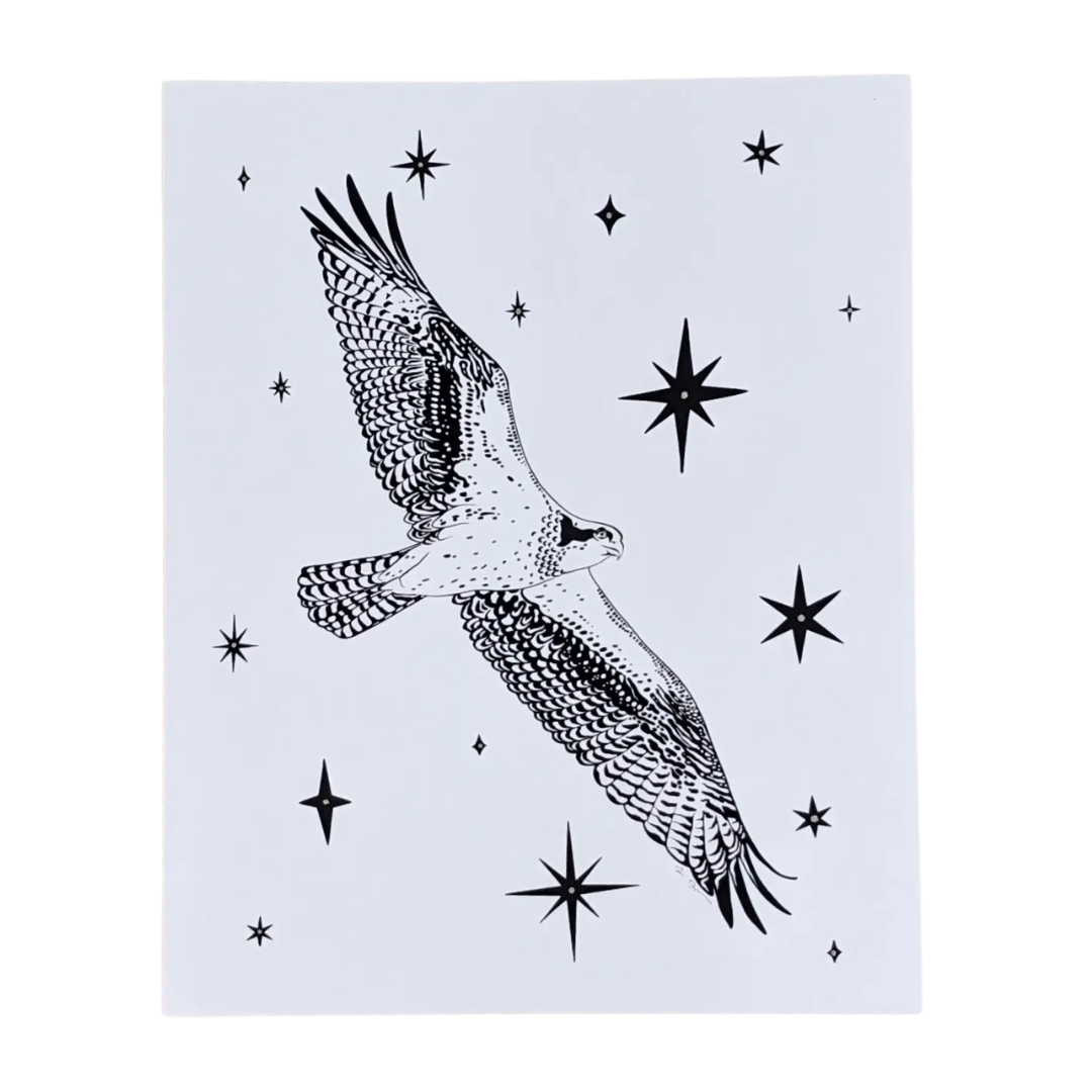 "Celestial Osprey" Illustration Print (8"x10")