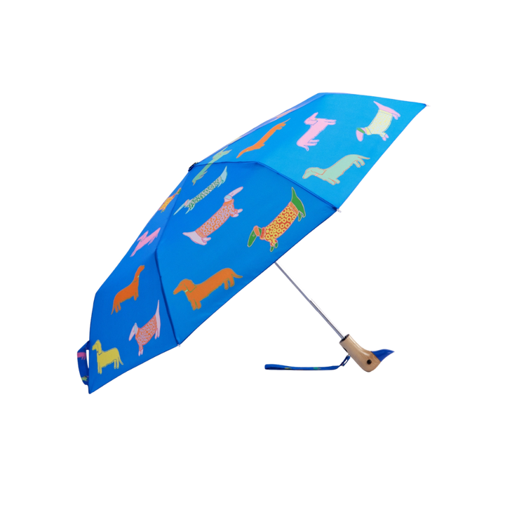 Compact Duck Umbrella