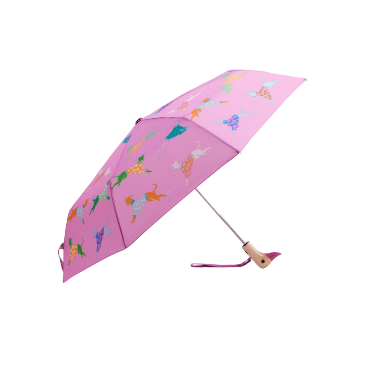 Compact Duck Umbrella