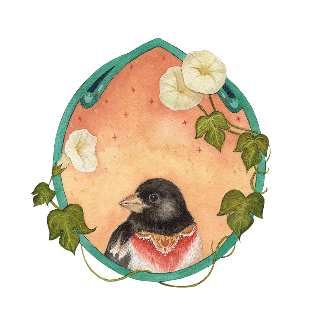 Grosbeak of Morning Glories Art Print