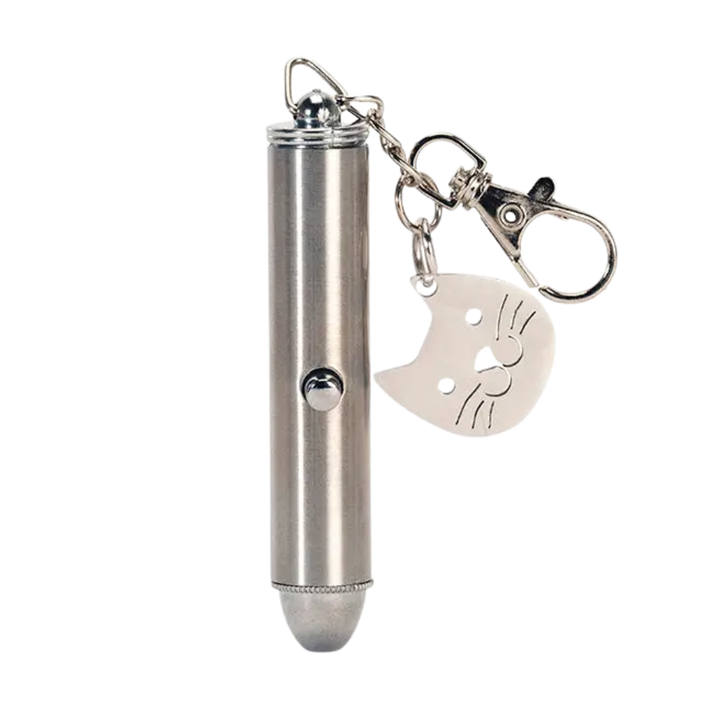 Rechargeable Laser Pointer