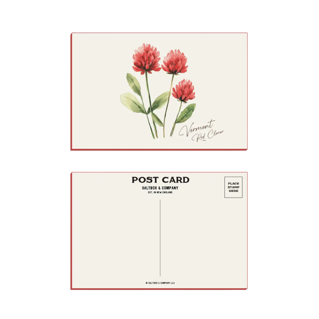 Vermont Red Clover - Single Sleeved Postcard