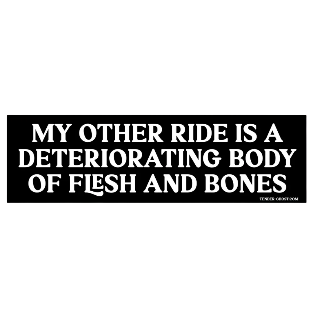 My Other Ride Bumper Magnet